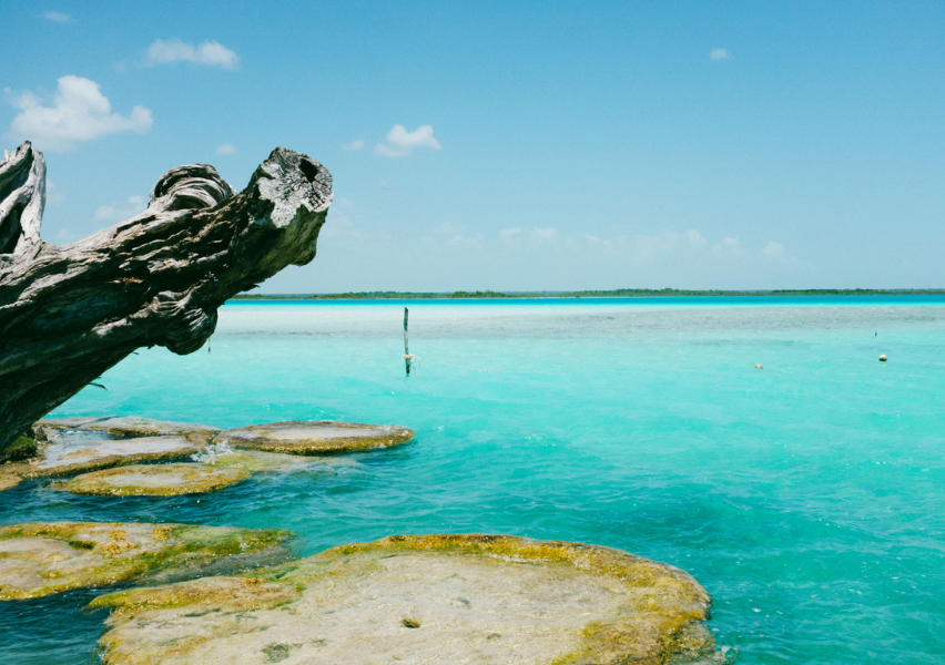 Cluster Of Stromatolites In Bacalar